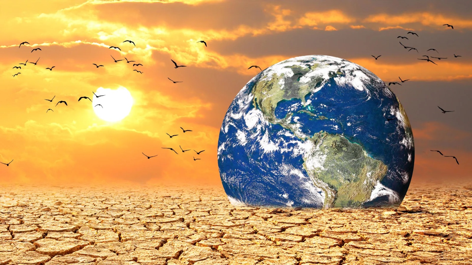 Climate Economics & Energy Transition